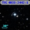 TYC 4033-2442-1