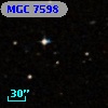 MGC  7598