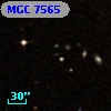 MGC  7565
