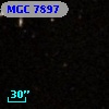 MGC  7897