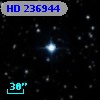 HD 236944