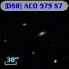[D80] ACO   979  87