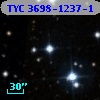 TYC 3698-1237-1