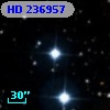 HD 236957