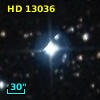 HD  13036