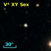 V* XY Sex