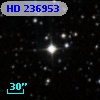 HD 236953