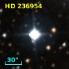 HD 236954