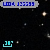 LEDA  125589