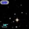 LEDA  113336