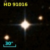 HD  91016