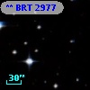** BRT  2977