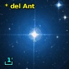 * del Ant
