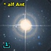 * alf Ant