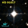 HD  91017