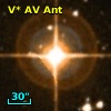 V* AV Ant