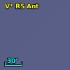 V* RS Ant