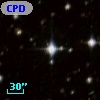 CPD-41  4589