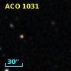 ACO  1031