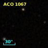 ACO  1067