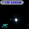 ** STF  1443AB