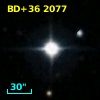 BD+36  2077