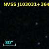 NVSS J103031+364350
