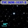 TYC 3698-1137-1