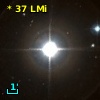 *  37 LMi