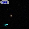 NVSS J103819+241155