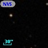 NVSS J103953+241513