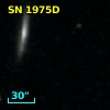 SN 1975D