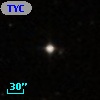 TYC  839-557-1
