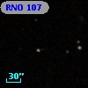 RNO 107