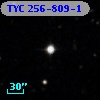 TYC  256-809-1