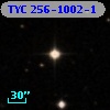 TYC  256-1002-1