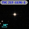 TYC  257-1176-1