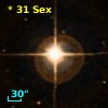 *  31 Sex