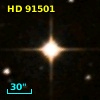 HD  91501