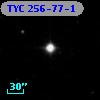 TYC  256-77-1