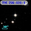 TYC  256-131-1