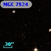 MGC  7824