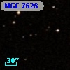 MGC  7828