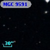 MGC  9591