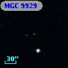 MGC  9929