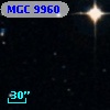 MGC  9960