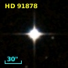 HD  91878