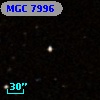 MGC  7996