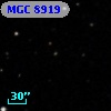 MGC  8919