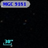 MGC  9181